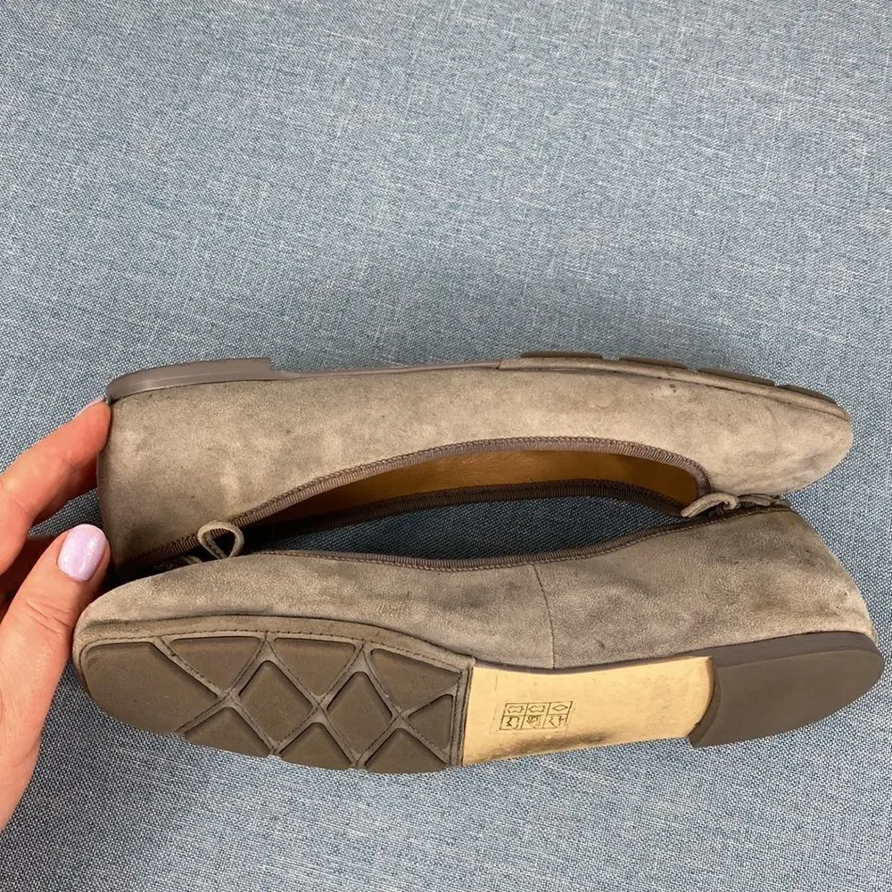 Tory Burch Carbon Grey Laila Suede Driver Ballet